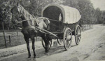 Twentse kleedwagen